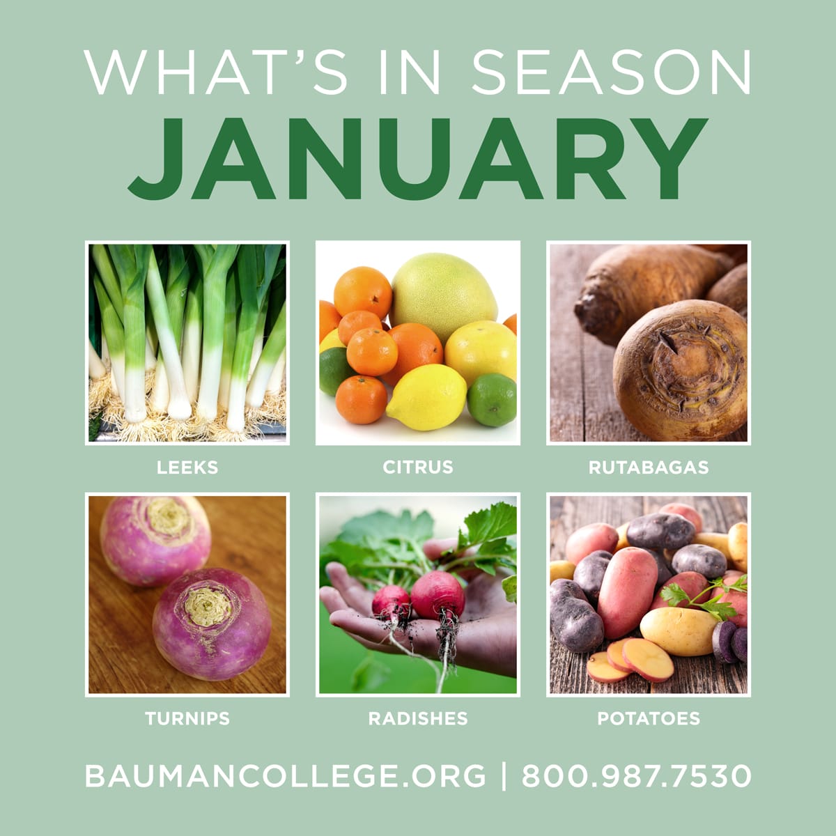 whats_in_season_jan_1200x1200