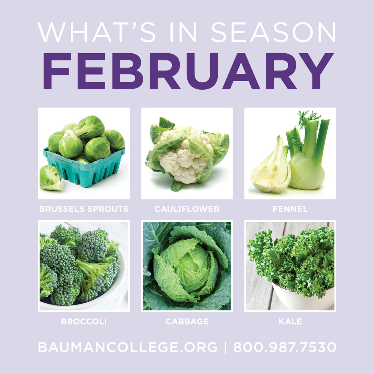 whats_in_season_feb_1200x1200