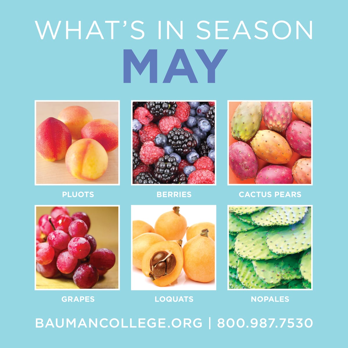 Foods in season in May