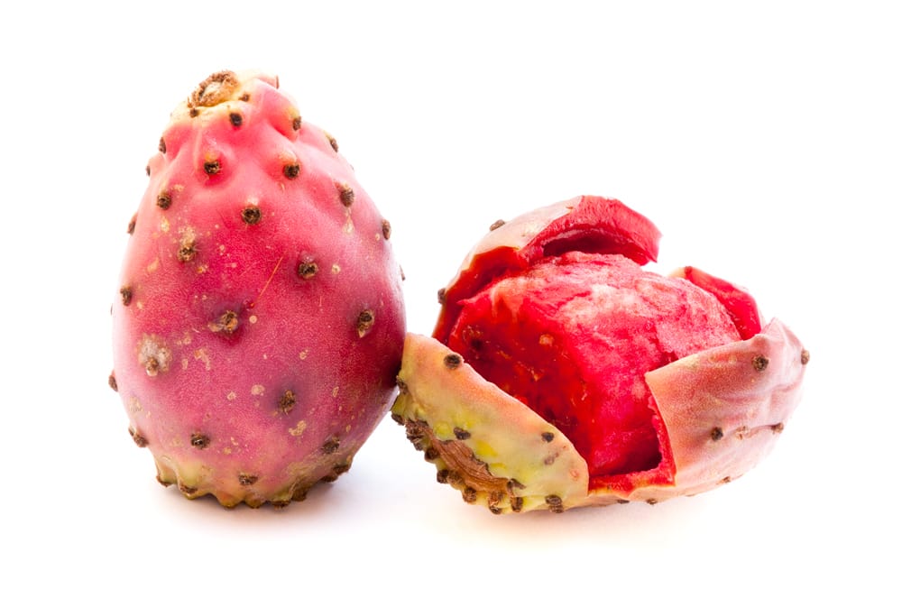 Prickly Pear