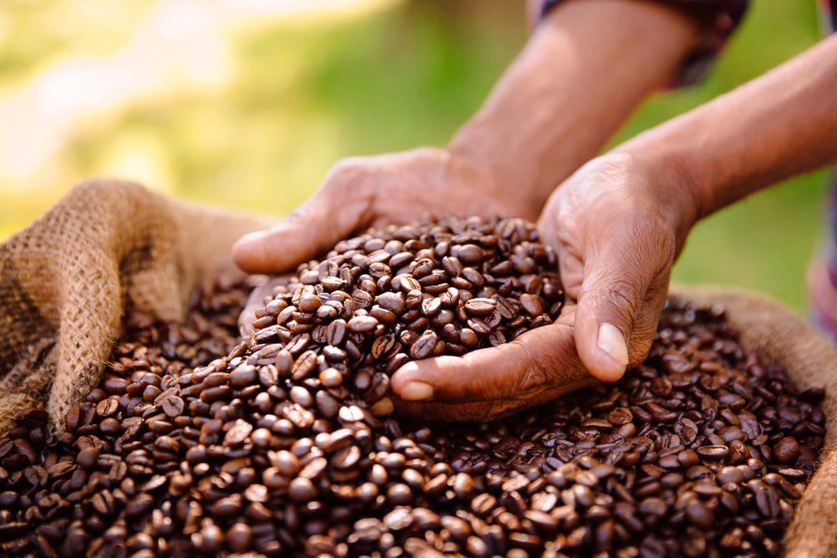 Coffee beans