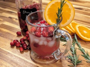 Cranberry Rosemary Shrub Mocktail